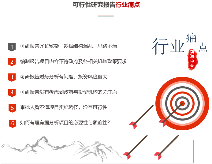 可行性研究報告行業(yè)痛點(diǎn)-前海中泰咨詢.png